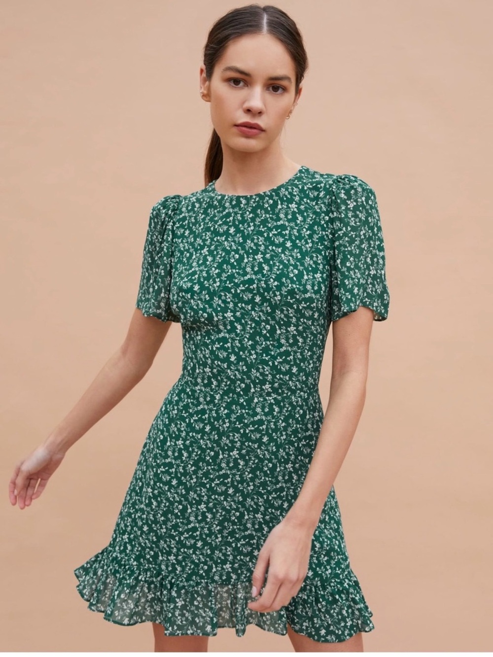 Reformation Beesley Bombay Floral
Print Chiffon Mini Dress Sz 2 Cottagecore